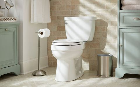 Types verhoogd toilet