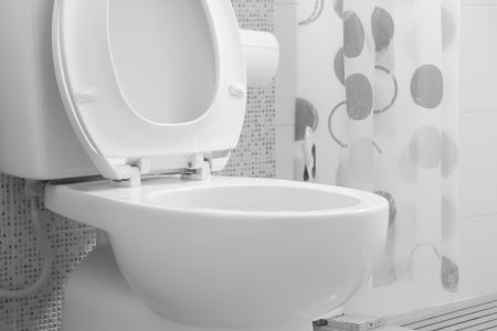 Toiletproblemen, kapotte wc-bril vervangen