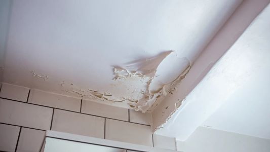 Schimmelvrij badkamer plafond - afbladderende verf