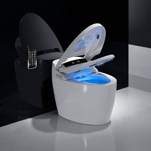 Ervaar de luxe van een elektrisch toilet