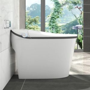 Comfortabel elektrisch toilet